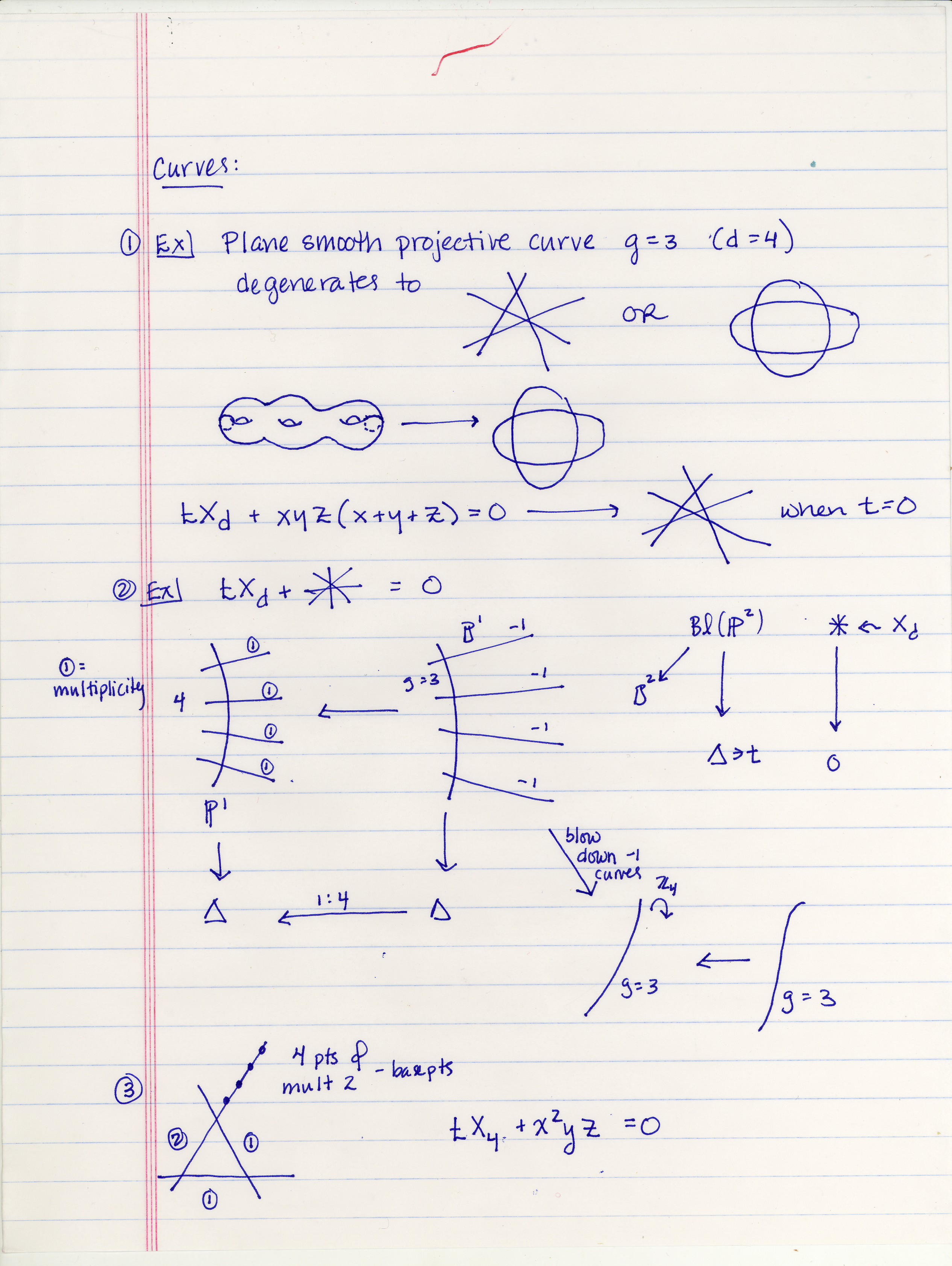 book Physics and Chemistry of the Fullerenes